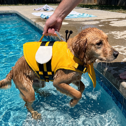 The Bee — lifted out of the water by the handle